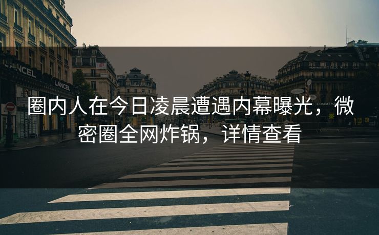 圈内人在今日凌晨遭遇内幕曝光，微密圈全网炸锅，详情查看