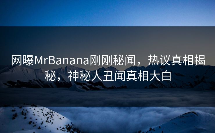 网曝MrBanana刚刚秘闻，热议真相揭秘，神秘人丑闻真相大白