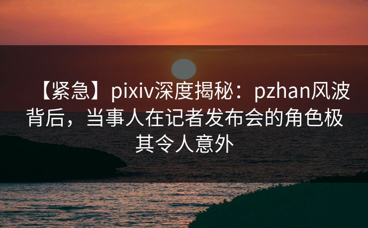 【紧急】pixiv深度揭秘：pzhan风波背后，当事人在记者发布会的角色极其令人意外