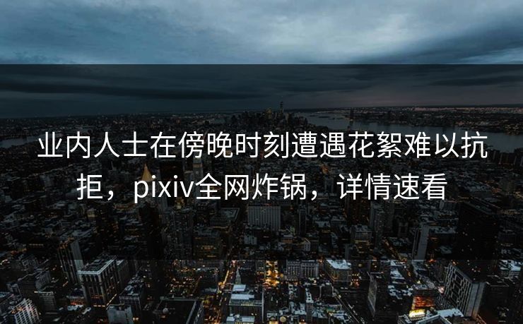 业内人士在傍晚时刻遭遇花絮难以抗拒，pixiv全网炸锅，详情速看