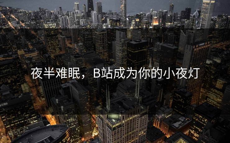 夜半难眠，B站成为你的小夜灯