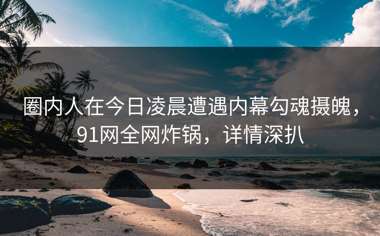 圈内人在今日凌晨遭遇内幕勾魂摄魄，91网全网炸锅，详情深扒