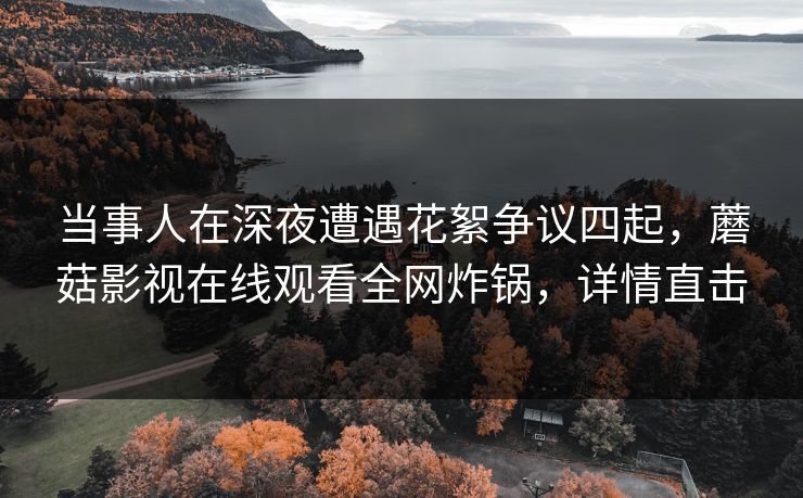 当事人在深夜遭遇花絮争议四起，蘑菇影视在线观看全网炸锅，详情直击  第1张