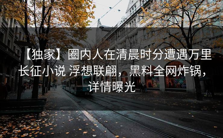 【独家】圈内人在清晨时分遭遇万里长征小说 浮想联翩，黑料全网炸锅，详情曝光  第1张