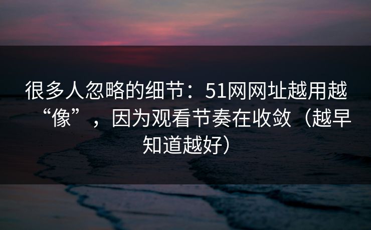 很多人忽略的细节:51网网址越用越“像”,因为观看节奏在收敛(越早知道越好)