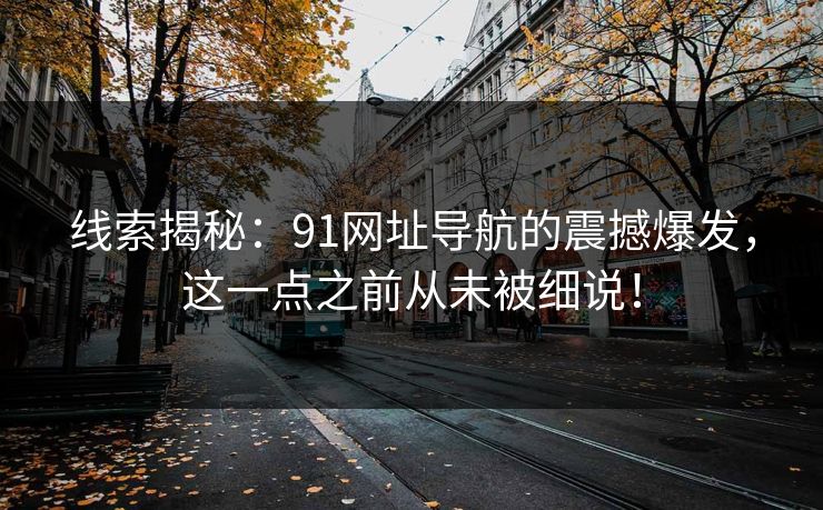 线索揭秘:91网址导航的震撼爆发,这一点之前从未被细说!